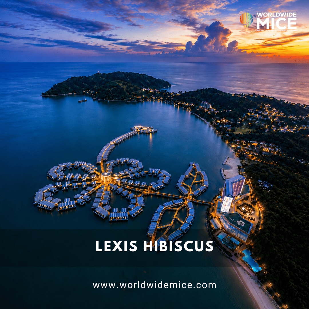 LEXIS HIBISCUS